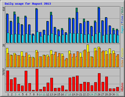 Daily usage for August 2013