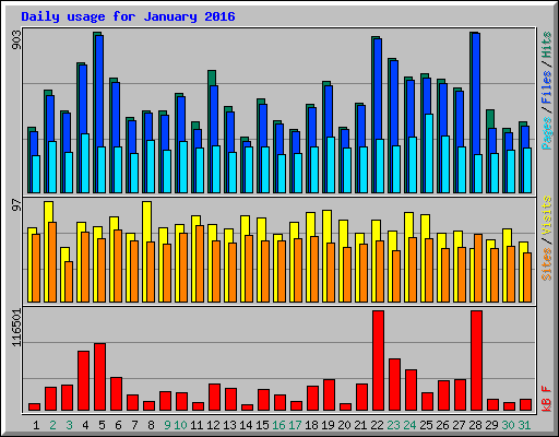 Daily usage for January 2016