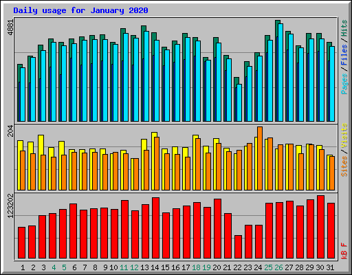 Daily usage for January 2020