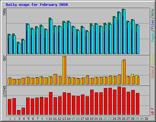 Daily usage for February 2020