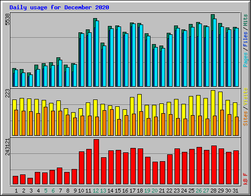 Daily usage for December 2020