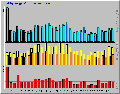 Daily usage for January 2021