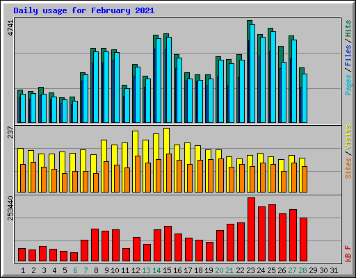 Daily usage for February 2021