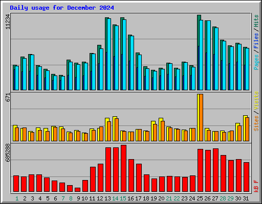 Daily usage for December 2024