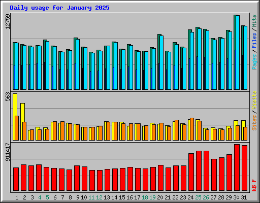 Daily usage for January 2025