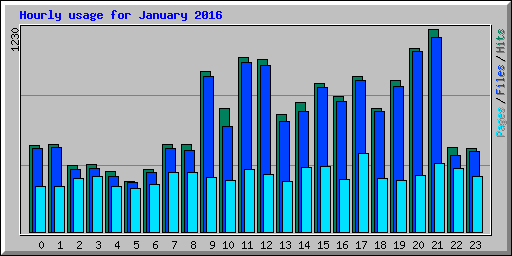 Hourly usage for January 2016