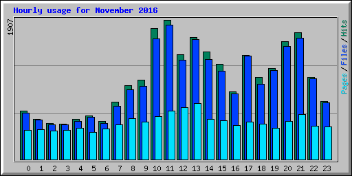 Hourly usage for November 2016