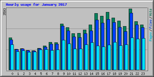 Hourly usage for January 2017