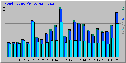 Hourly usage for January 2018