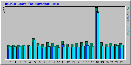 Hourly usage for November 2018