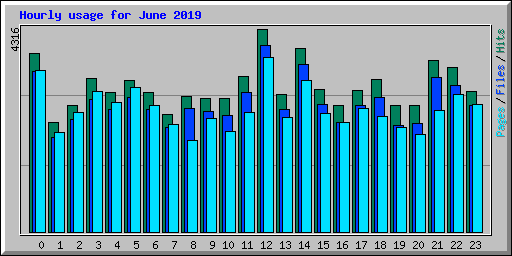 Hourly usage for June 2019