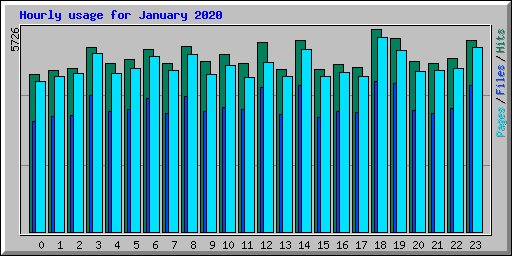 Hourly usage for January 2020