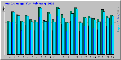 Hourly usage for February 2020