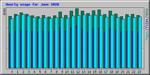 Hourly usage for June 2020