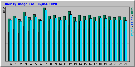 Hourly usage for August 2020