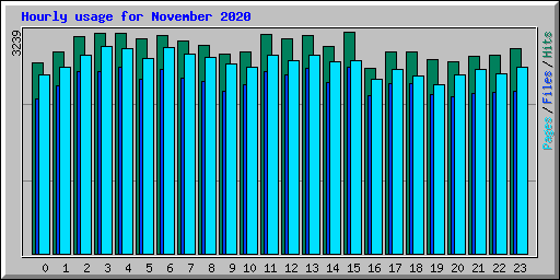 Hourly usage for November 2020