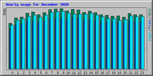 Hourly usage for December 2020