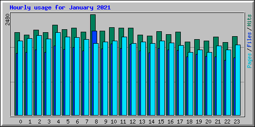 Hourly usage for January 2021