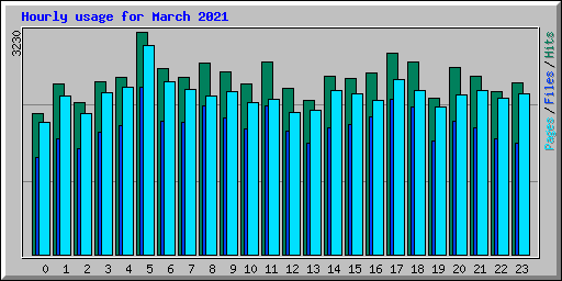 Hourly usage for March 2021