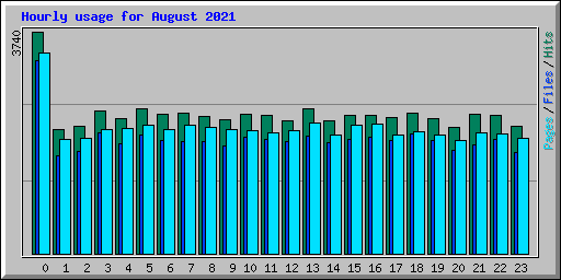 Hourly usage for August 2021