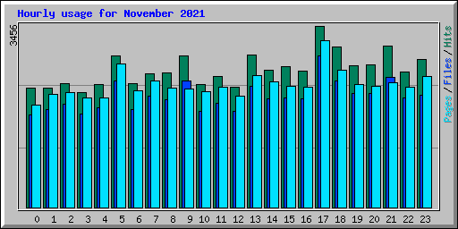 Hourly usage for November 2021