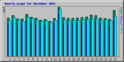 Hourly usage for December 2021