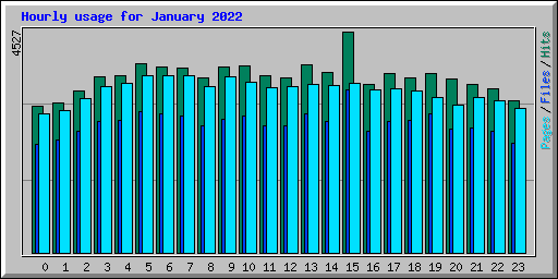 Hourly usage for January 2022