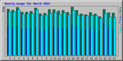 Hourly usage for March 2022