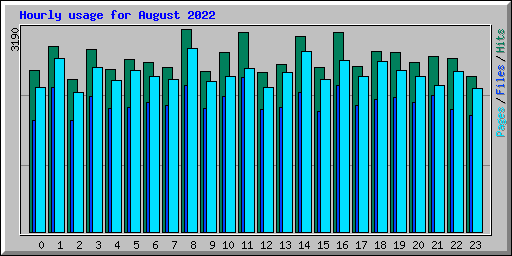 Hourly usage for August 2022