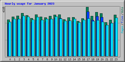 Hourly usage for January 2023