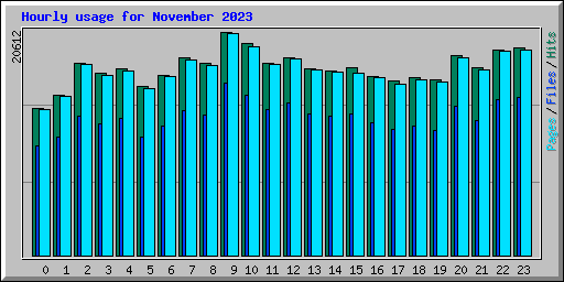 Hourly usage for November 2023