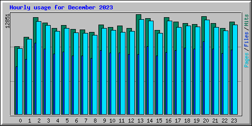 Hourly usage for December 2023