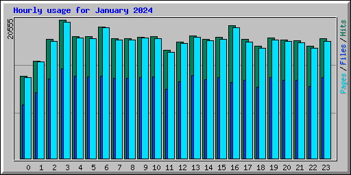 Hourly usage for January 2024