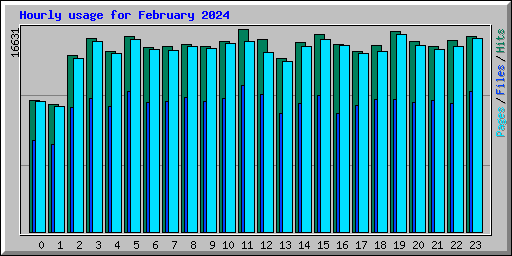 Hourly usage for February 2024