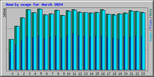 Hourly usage for March 2024