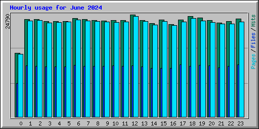 Hourly usage for June 2024
