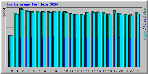 Hourly usage for July 2024