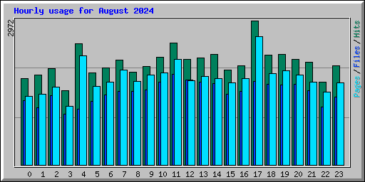 Hourly usage for August 2024