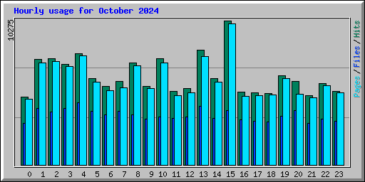 Hourly usage for October 2024