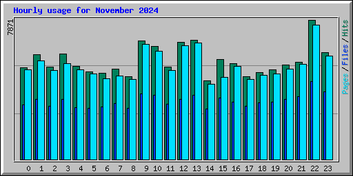 Hourly usage for November 2024