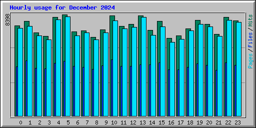 Hourly usage for December 2024