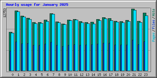 Hourly usage for January 2025