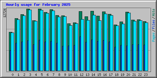 Hourly usage for February 2025
