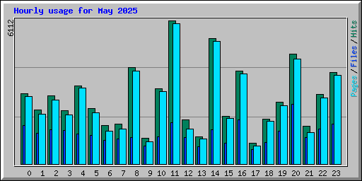 Hourly usage for May 2025